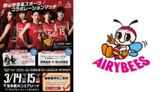 エアリービーズ