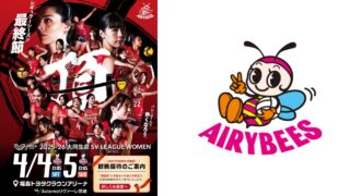 エアリービーズ